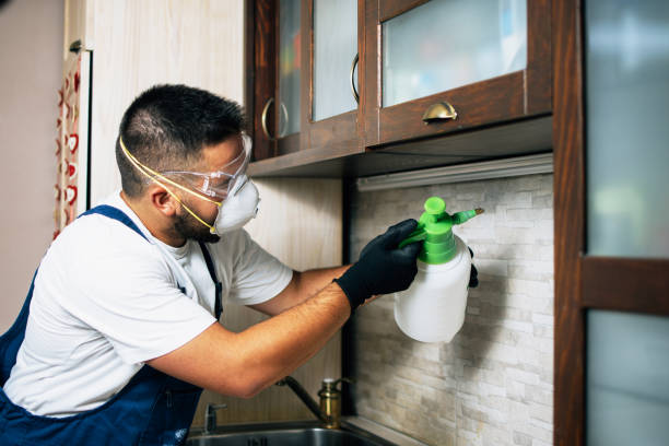 Best Exterminator Services  in Divernon, IL