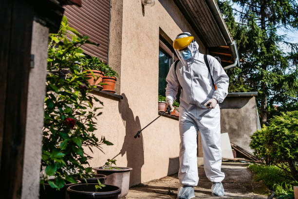 Best Pest Control Cost  in Divernon, IL